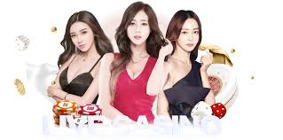 爱游戏官网入口